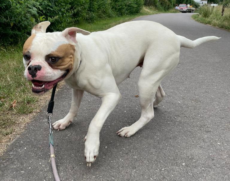 Daisy,  3 Jahre