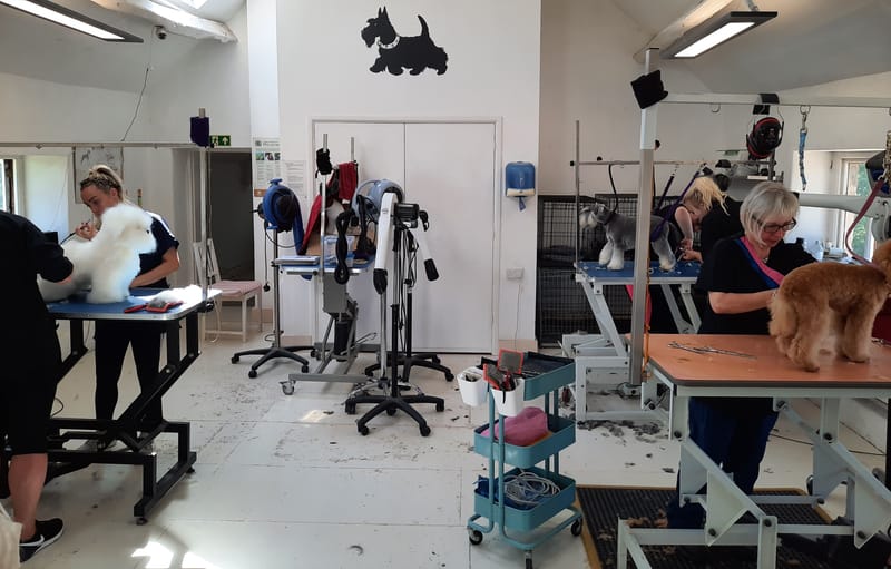 Vacancies and Work Experience Canis Finest Dog Grooming