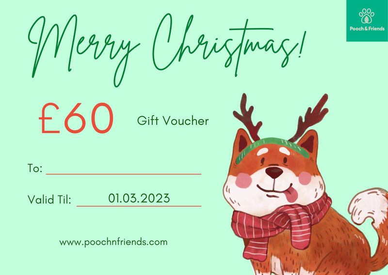 Christmas voucher special