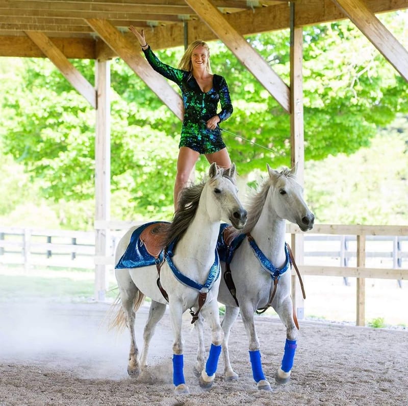 Full Length Equine Theater Shows