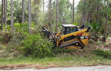 Lot Clearing or Junk Removal