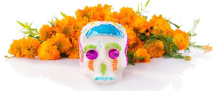 Day of the Dead Night!