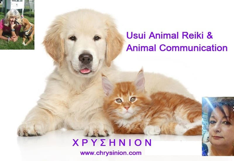 USUI ANIMAL REIKI & ANIMAL COMMUNICATION