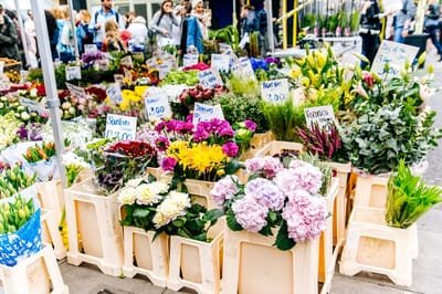 Tips for Choosing a Florist image