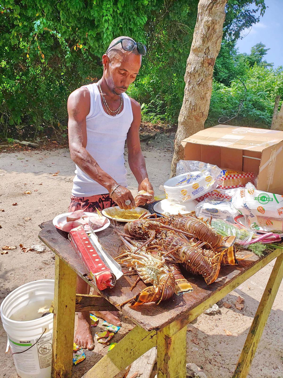 Negril All Day Tour & Picnic