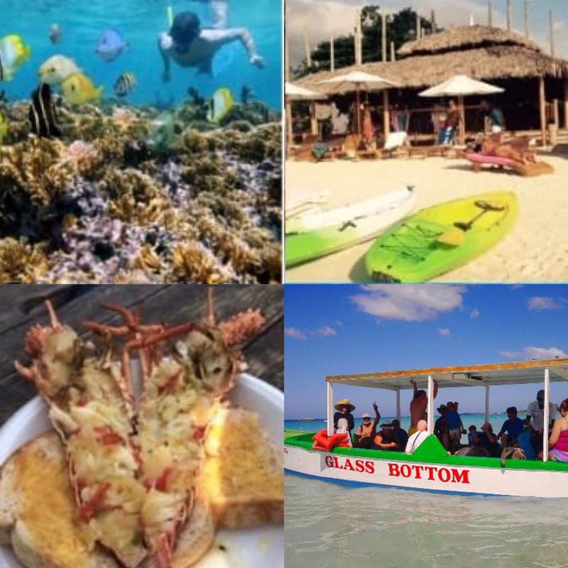 Negril All Day Beach, Island Picnic, Snorkeling & Ricks Cafe