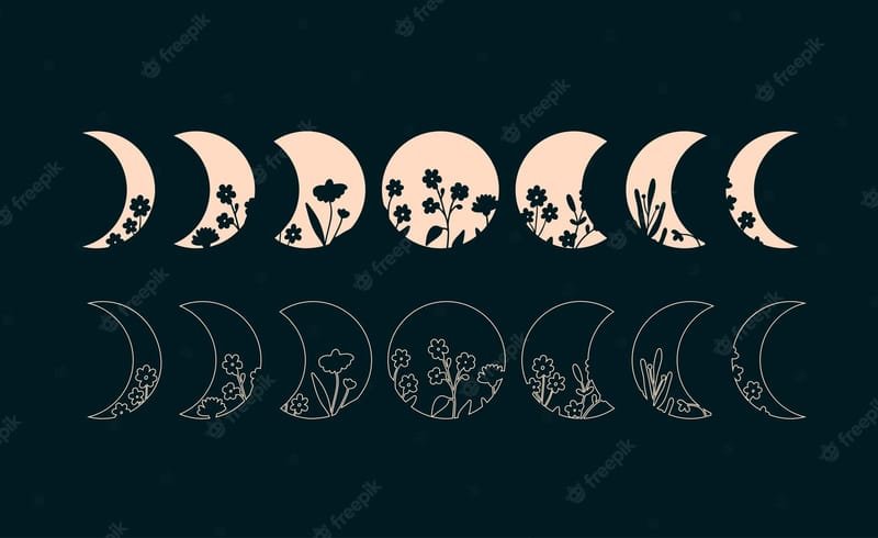 Moon Phases Workshop