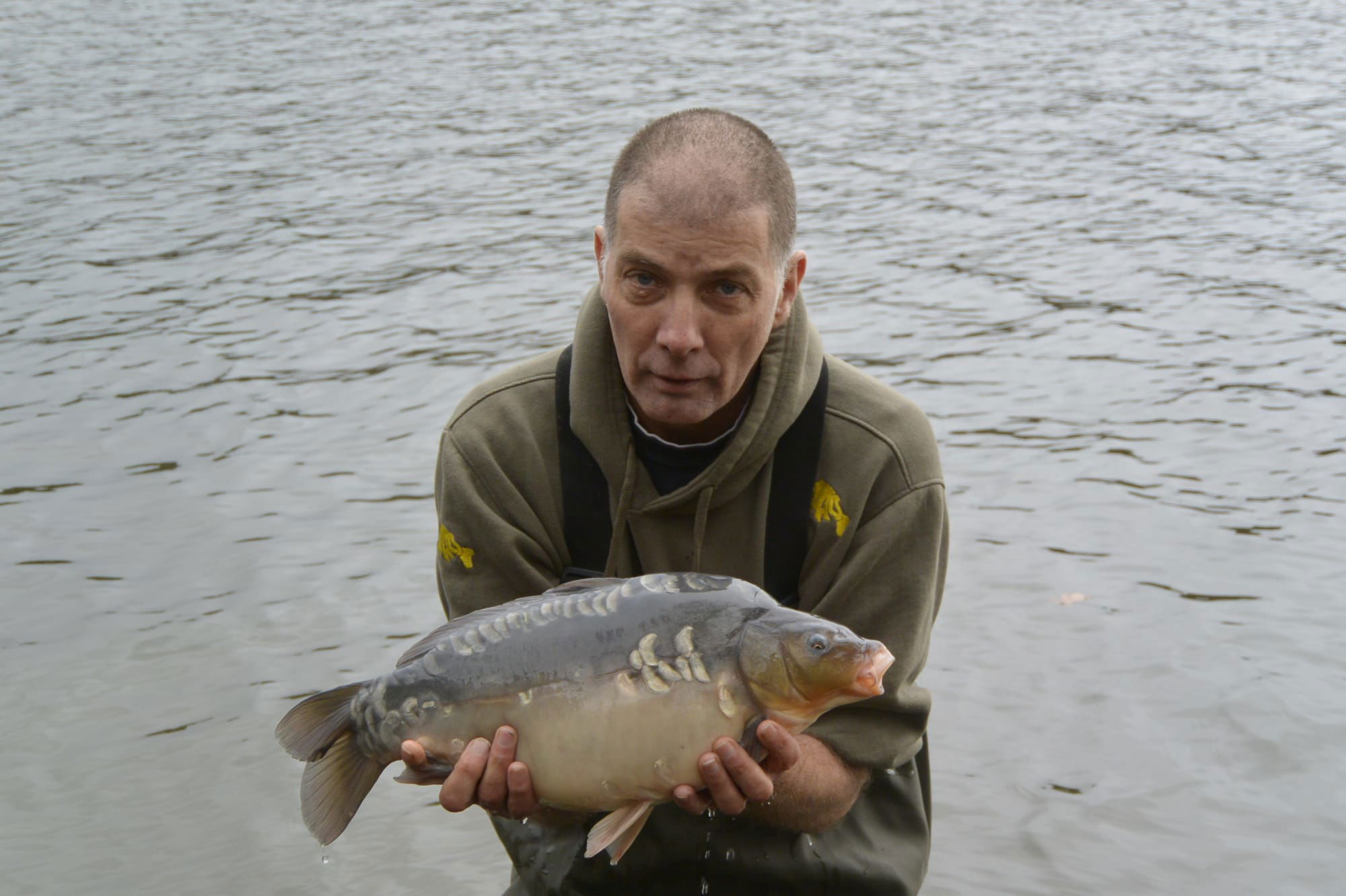 MIRROR CARP 8LB 4OZ - 2000 5c4f8836a1fcD