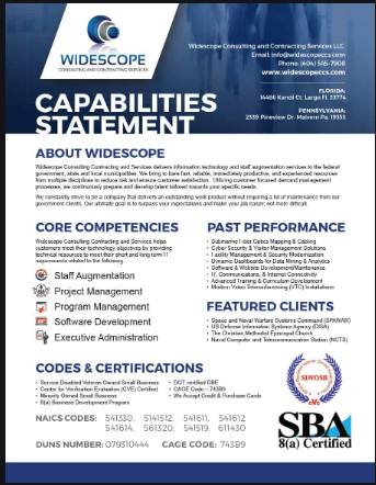 Clean Capability Statement Designing