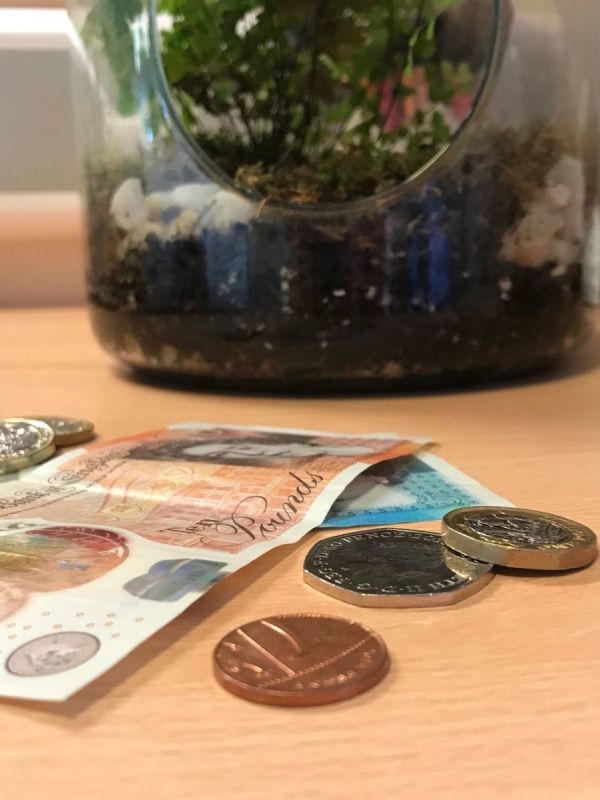 How to Make a Terrarium Cheaply