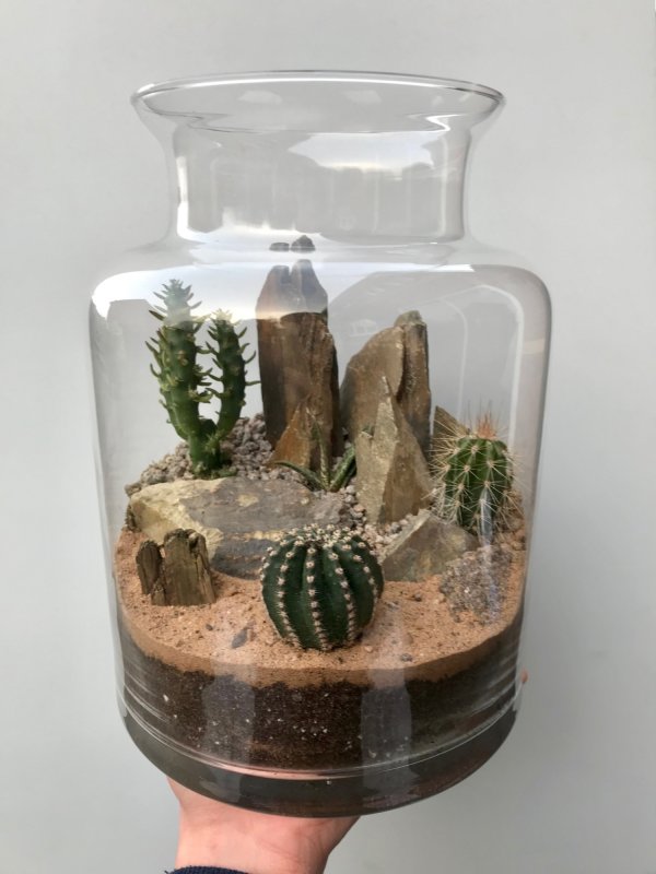 Terrarium Photos & Inspiration