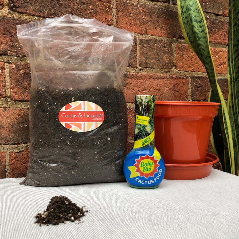 Buy Handcrafted Cactus/Succulent Compost!