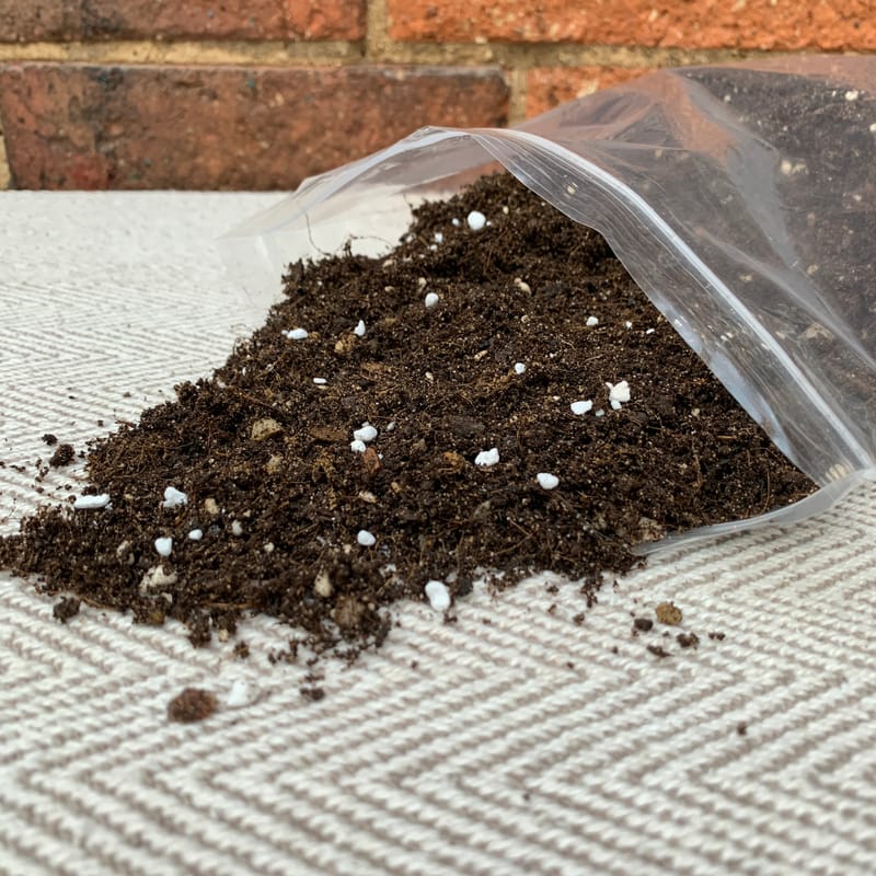 Buy Handcrafted Cactus/Succulent Compost!