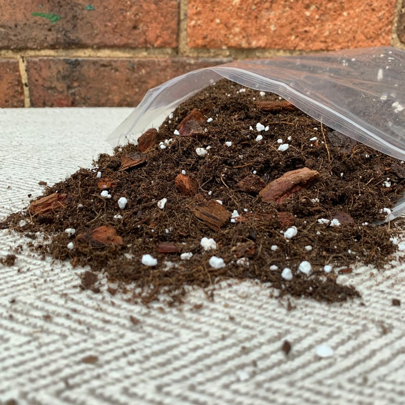 Bird of Paradise Soil Mix