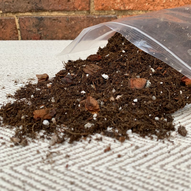 Buy Peace Lily Potting Mix Here! (Spathiphyllum)