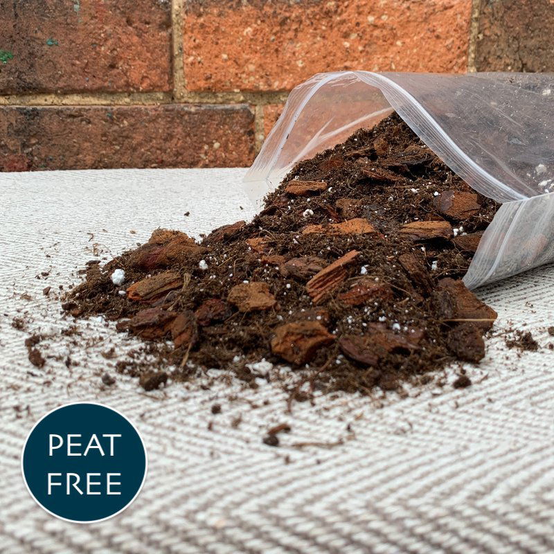 Premium Anthurium Potting Mix