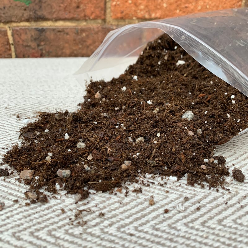 Premium Dracaena Potting Mix