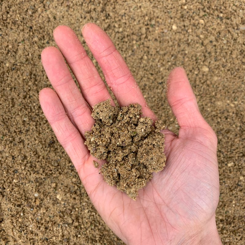 Sand for Houseplants