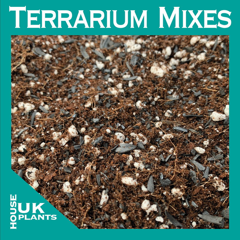 BUY Terrarium Soil Mix (Includes Activated Charcoal & Rooting Hormone)