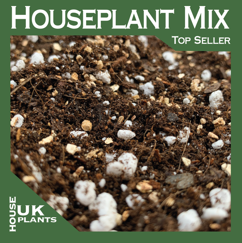 Multipurpose Mixes for Casual Growers ukhouseplants