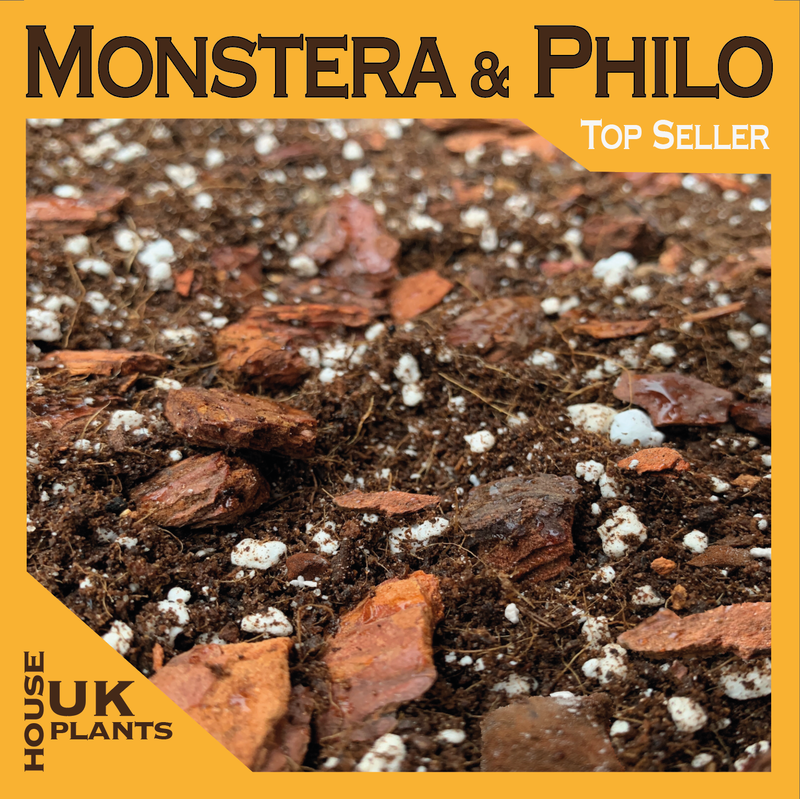 Professional Bird of Paradise Soil Mix (Strelitzia)