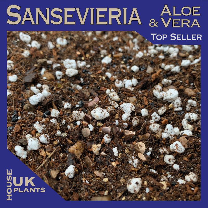Professional Sansevieria & Aloe Vera Soil Mix Here!