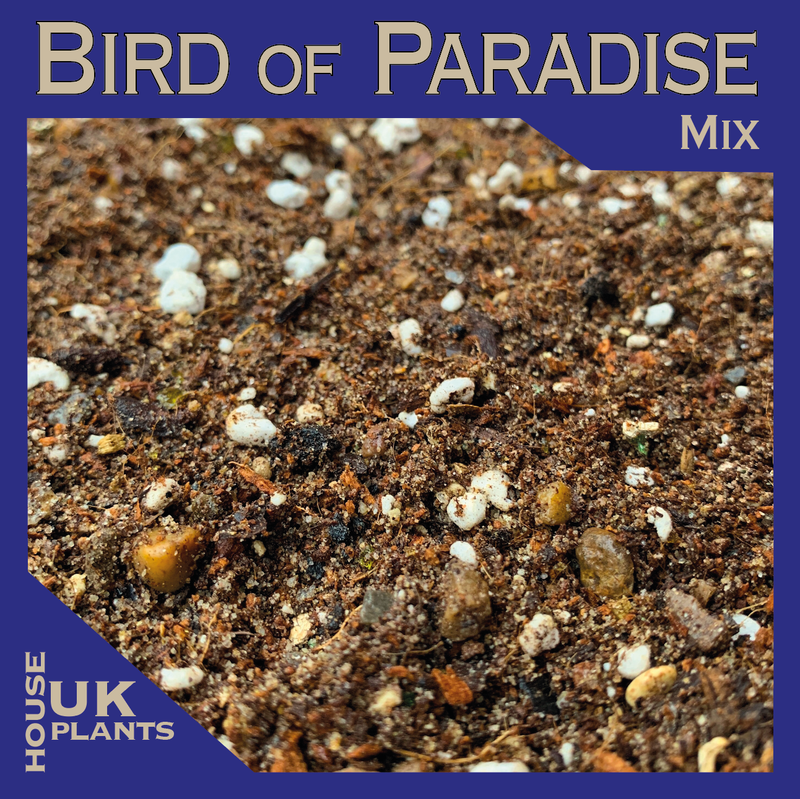 best soil mix for bird of paradise