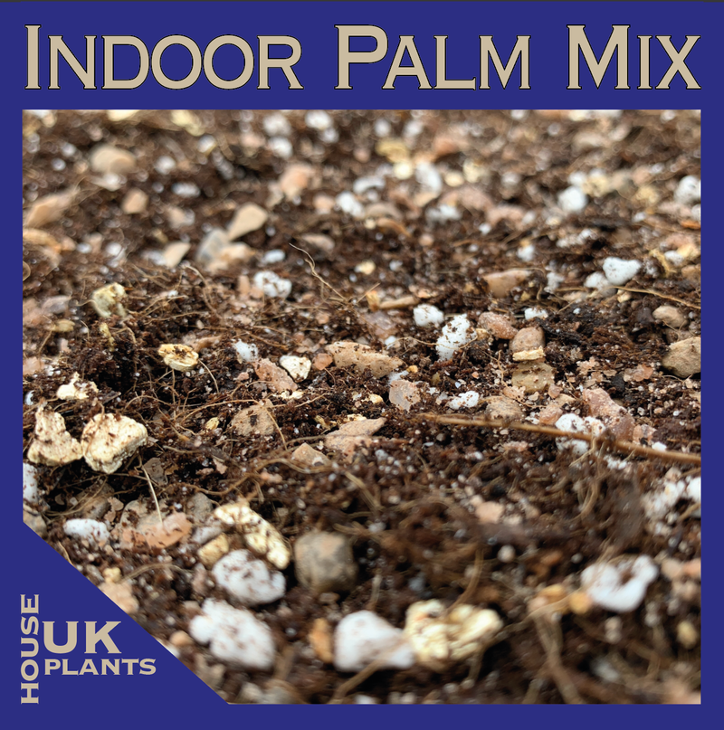 BUY Indoor Palm Soil Mix! (Parlour, Kentia, Areca, Sago & Fan Palms)