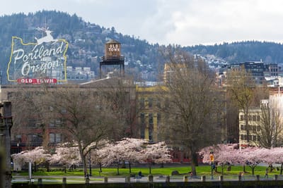 Portland Oregon Senior Housing Placement image