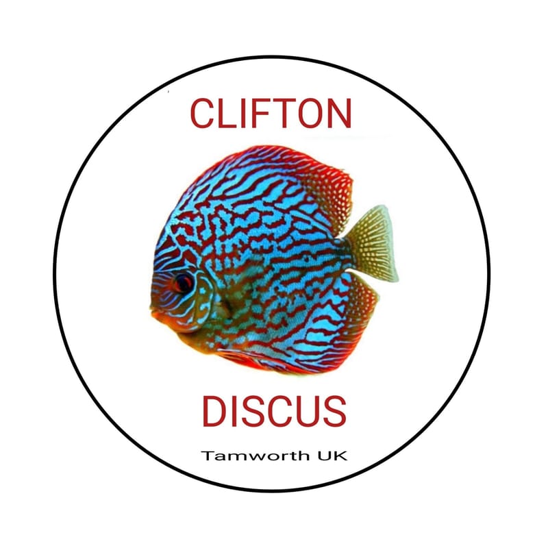 Discus suppliers cheap