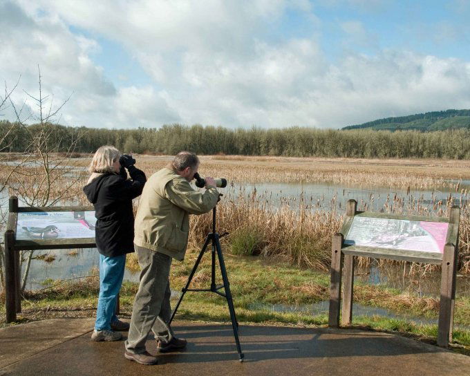 Código ético para a observación de aves (SEO/Birdlife)