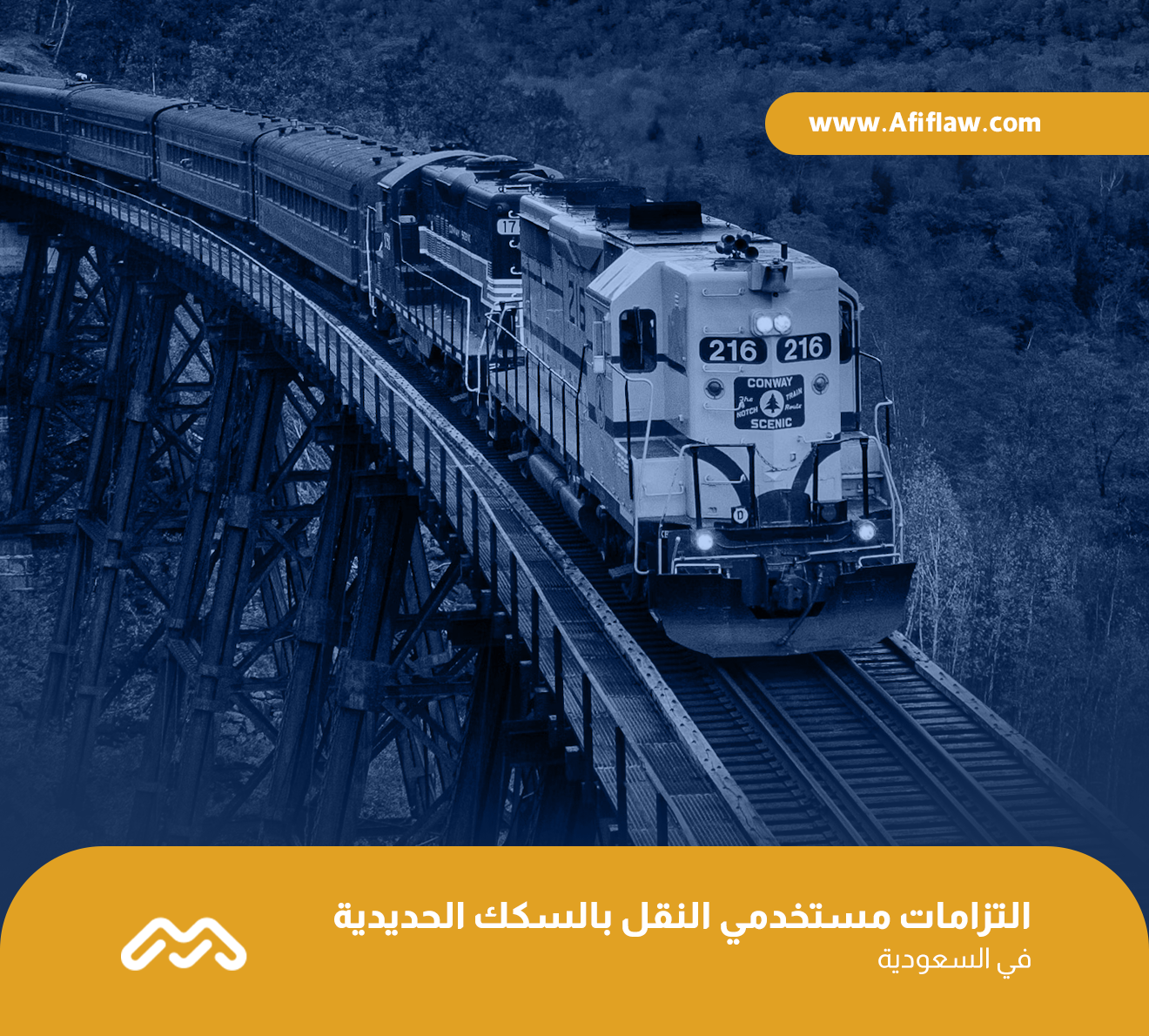 التزامات مستخدمي النقل بالسكك الحديدية في السعودية