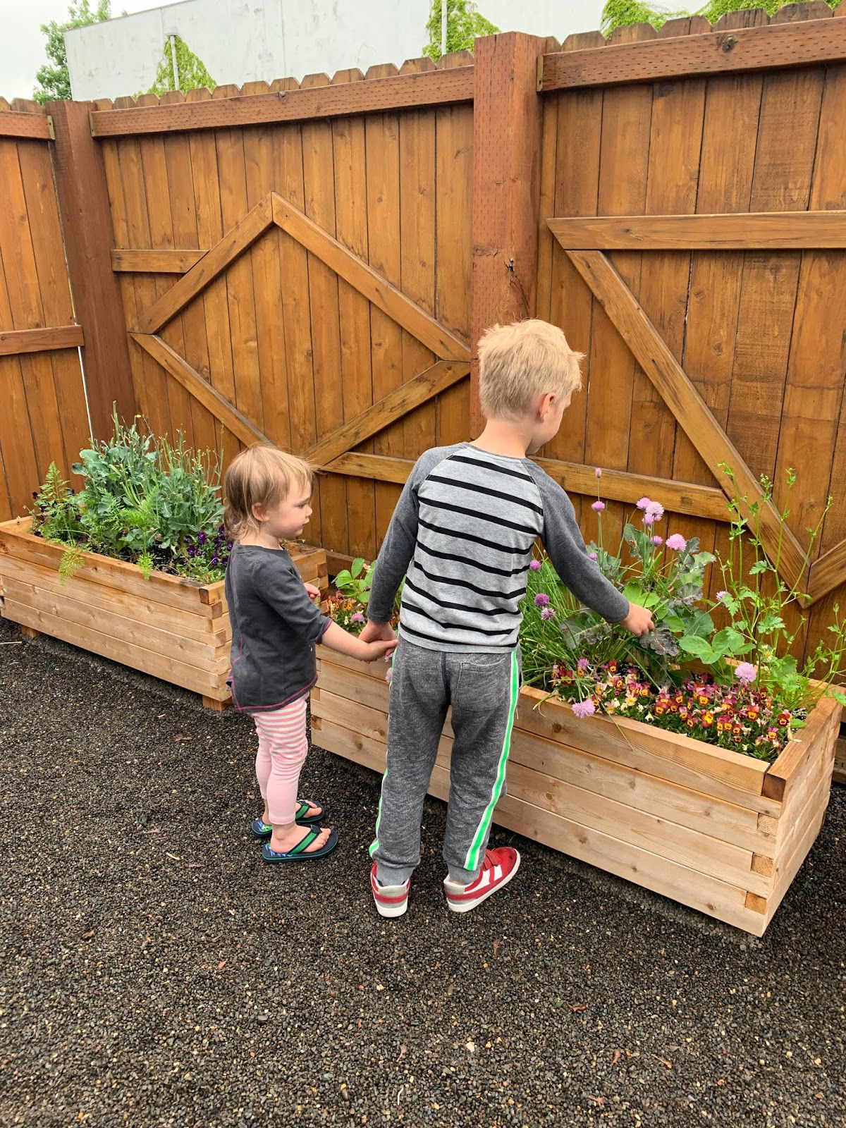 Organic Outdoor Garden
