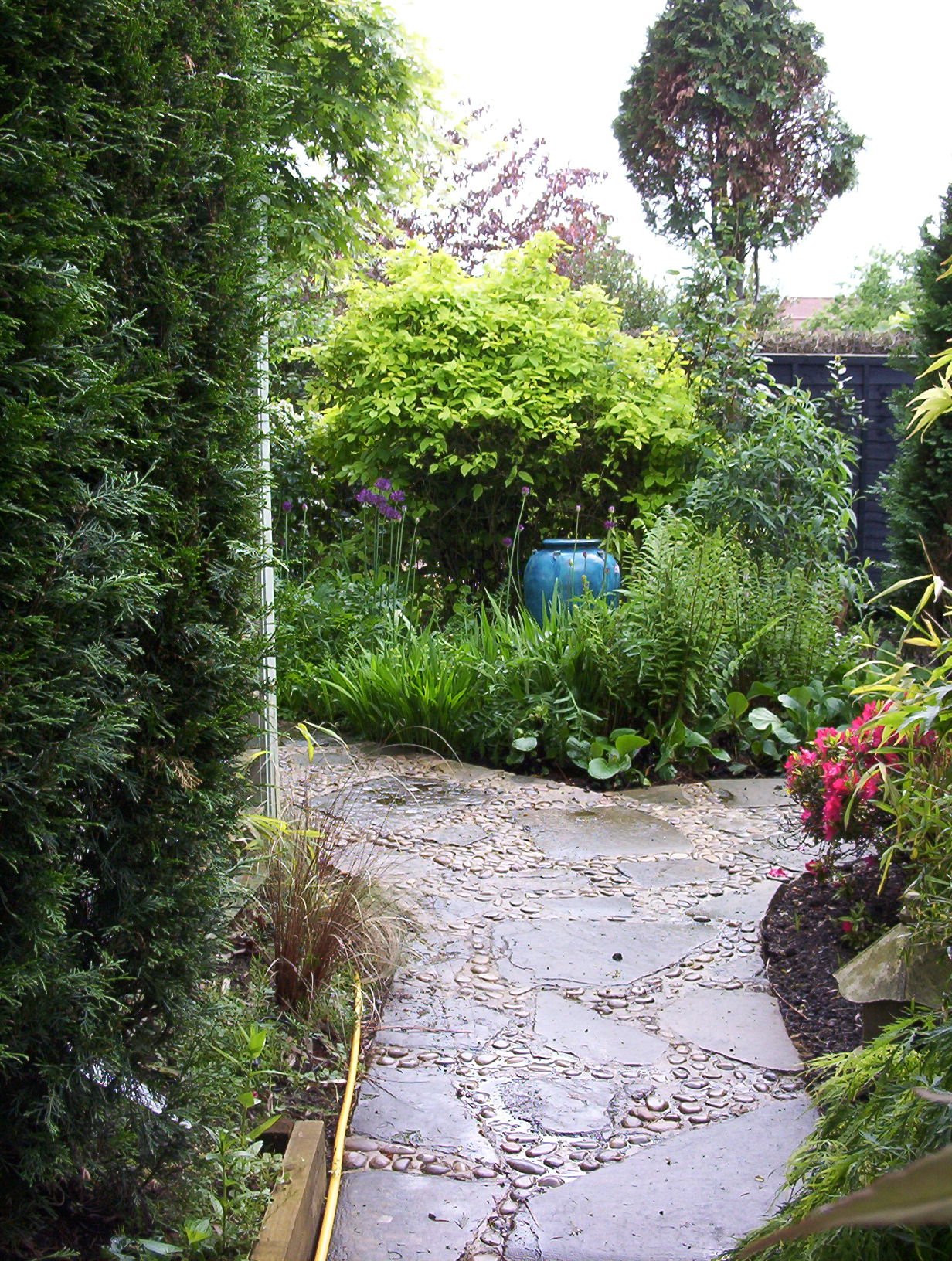 Garden Design Derbyshire, Society of Garden Designers