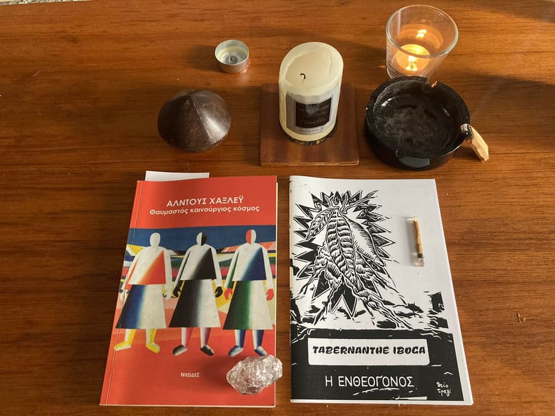 Iboga Retreat with Vangelis