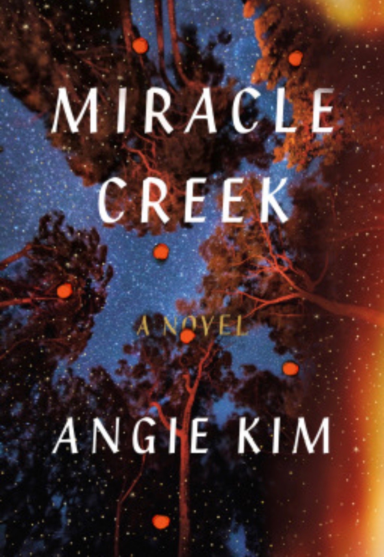 Review: Miracle Creek by Angie Kim