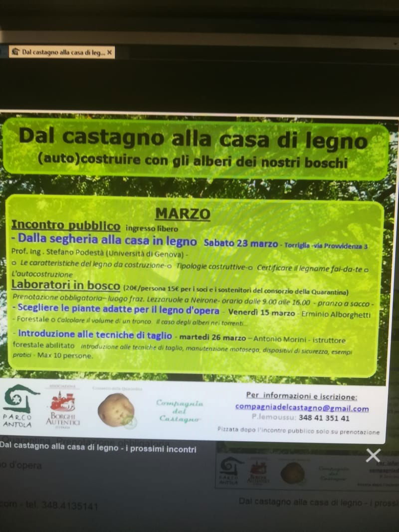 Dal Castagno alla casa di legno - Laboratorio in bosco