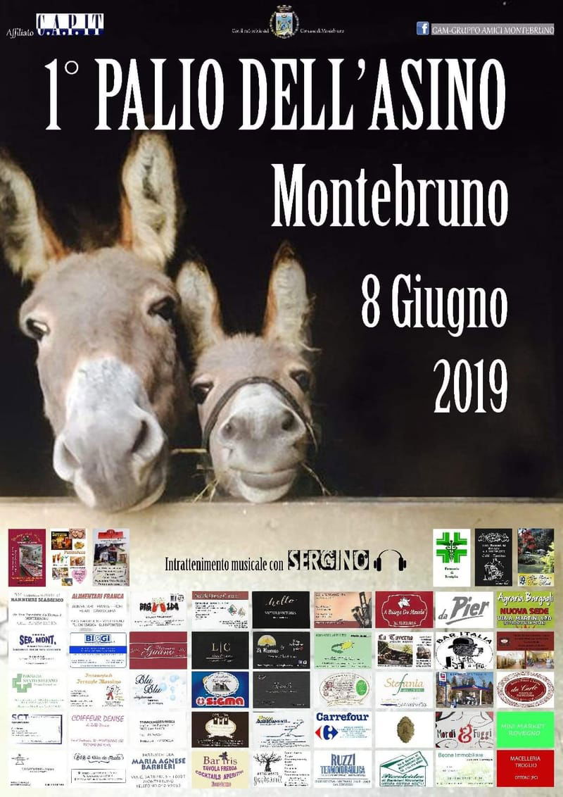 1° Palio dell'Asino