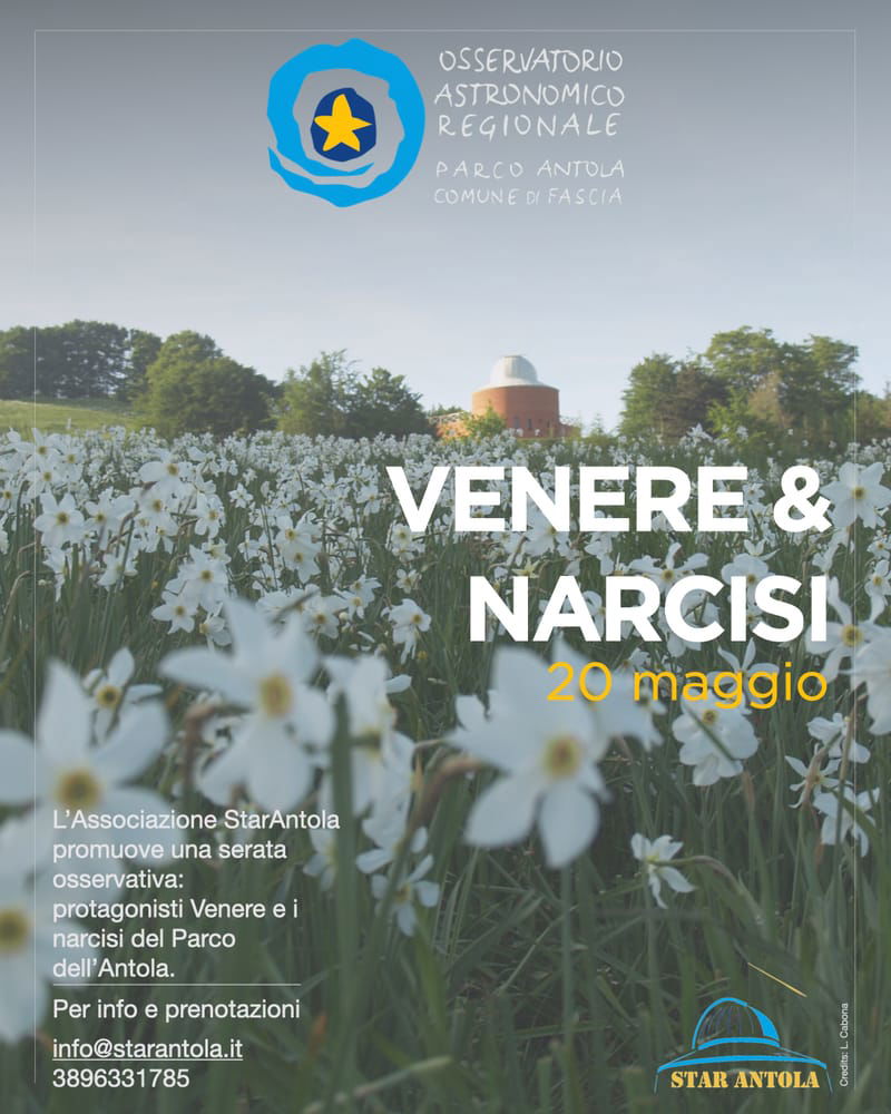 VENERE E NARCISI