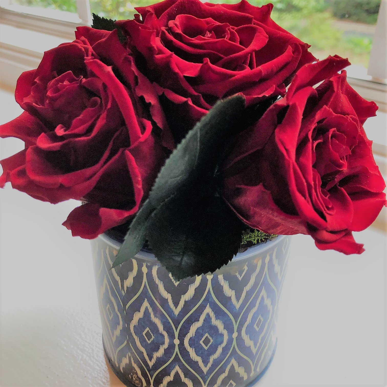 127 Preserved Red Roses in small vase