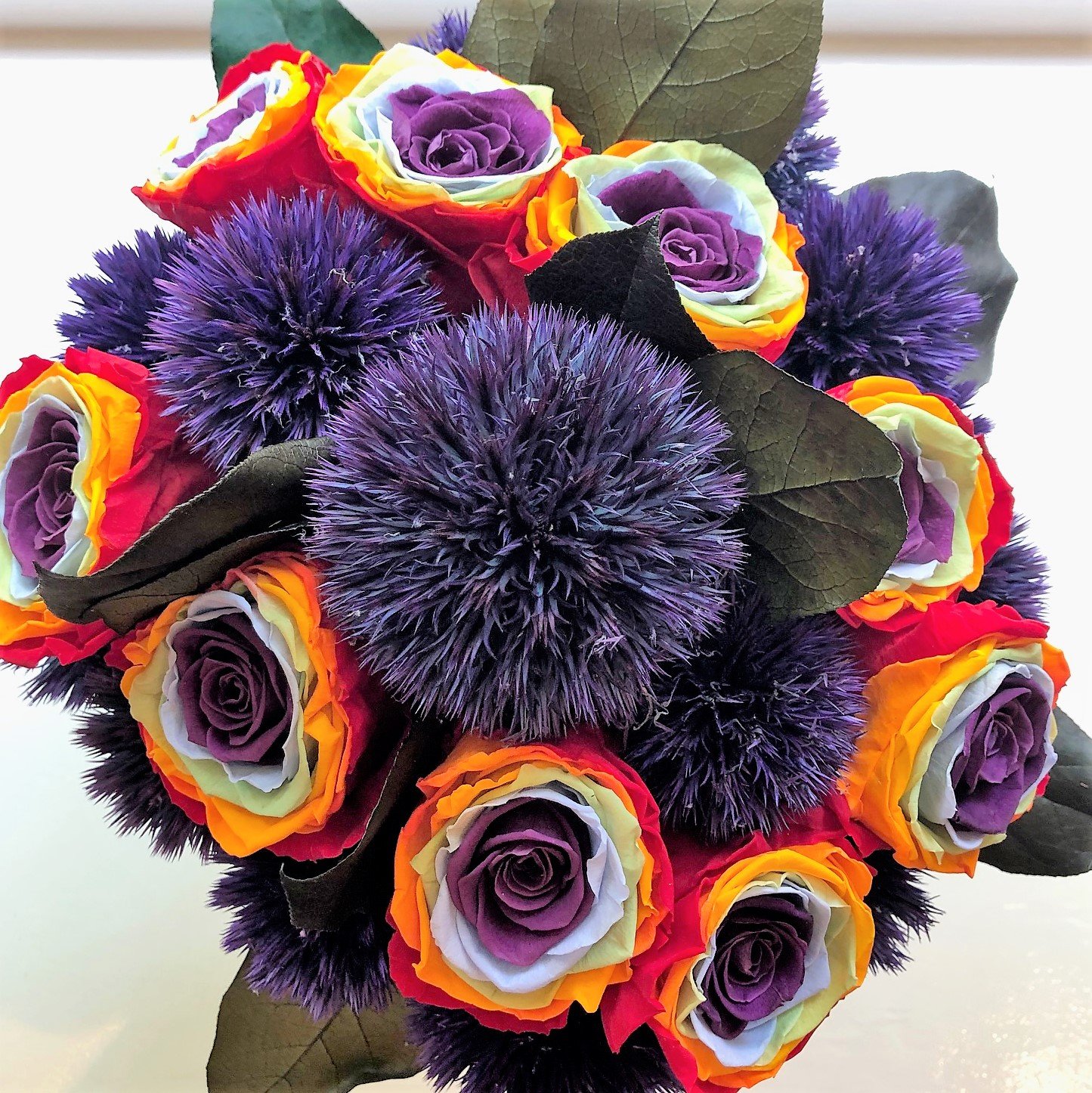 129 Rainbow roses with Giant thistle
