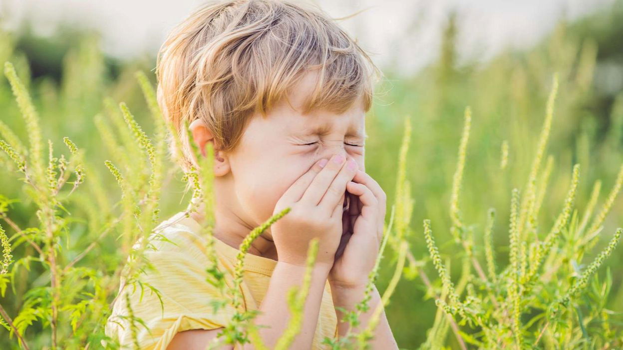 ALLERGIES et rhume des foins