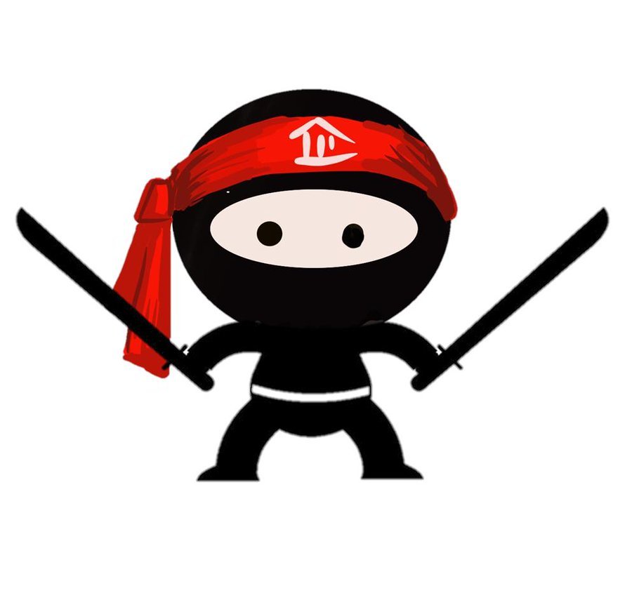 The way of the Ninja