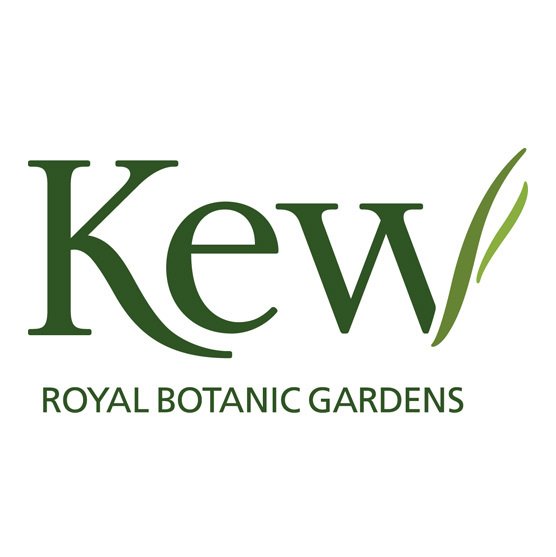 Sensory Tour with Kew Gardens