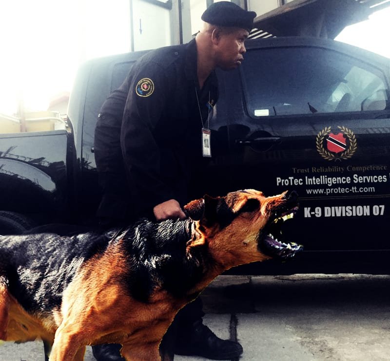 K-9 Security Services