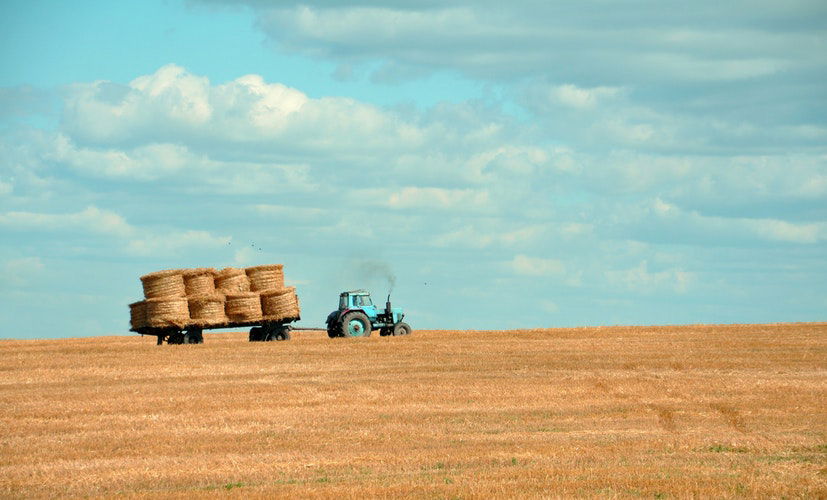 Agriculture