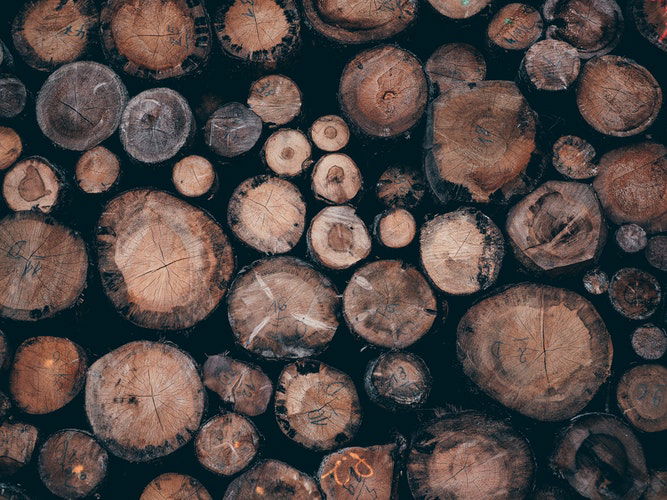 Timber industry