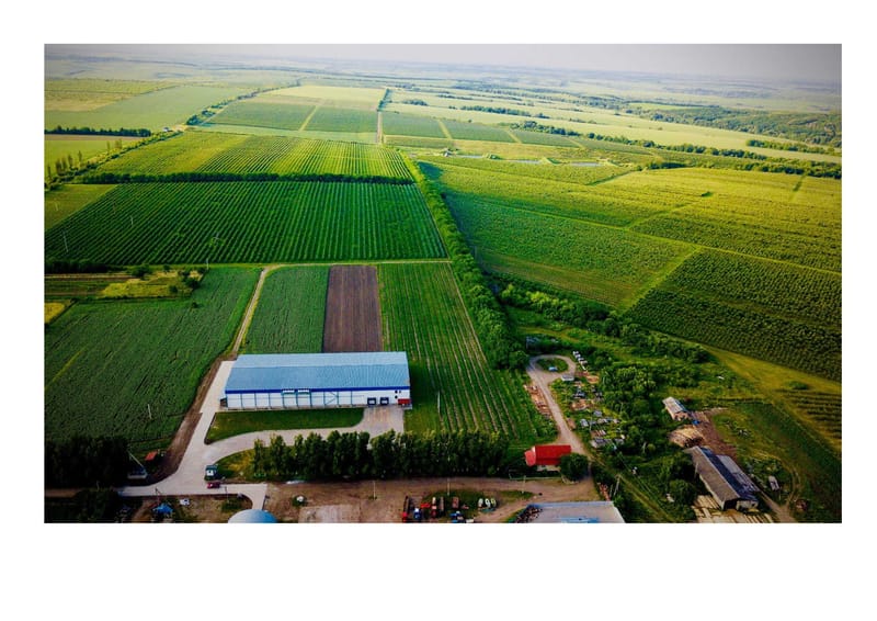 Apple farm for sale in the Carpathian region NordicUkraineinvest