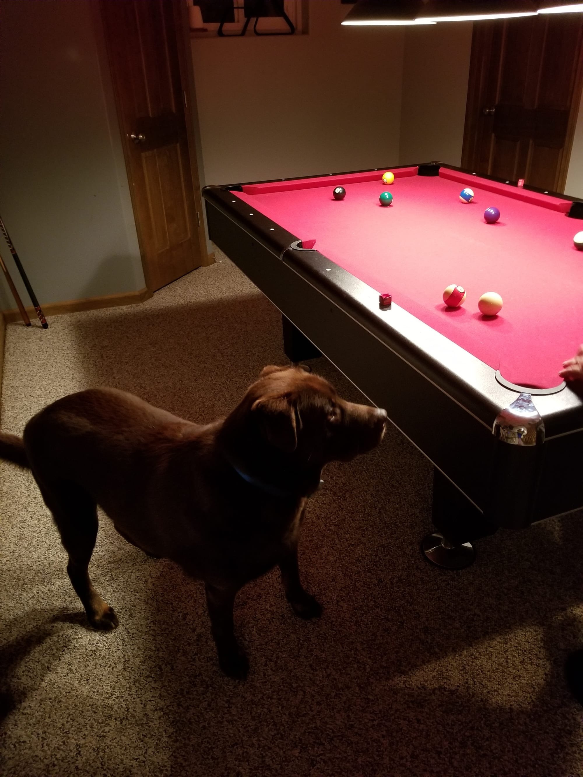 At my cousin's house, he wondered where the ball went (1st time he ever saw a pool table) 2018.