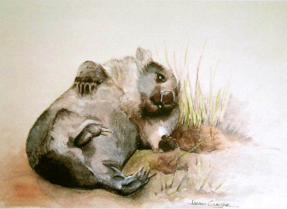 Cheeky Wombat - SOLD